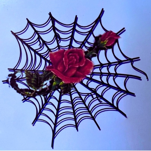 Like me to get notified when I’m going Live! - Picture 3 of 13